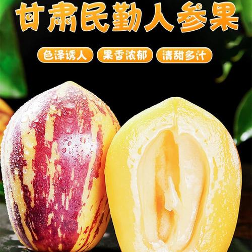 健康礼品人参果产品展示图